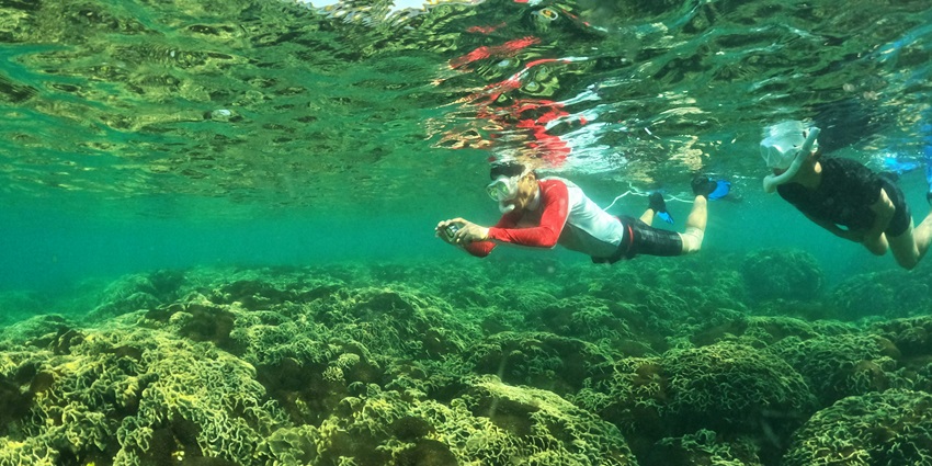 The small island is ideal for diving excursions and snorkelling in Bangkok.