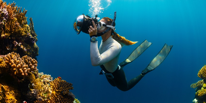 Secluded diving spot with vibrant beach, diverse marine species.