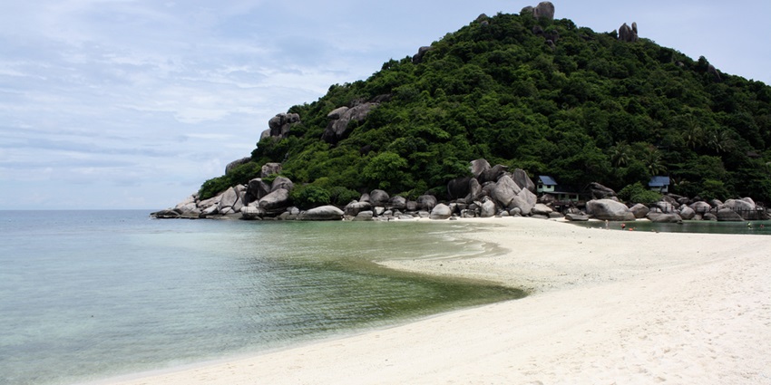 Experience stunning marine life while snorkeling in Koh Samui at the beautiful Koh Nang Yuan