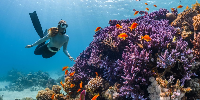 Remote island with pristine beaches and excellent diving opportunities.