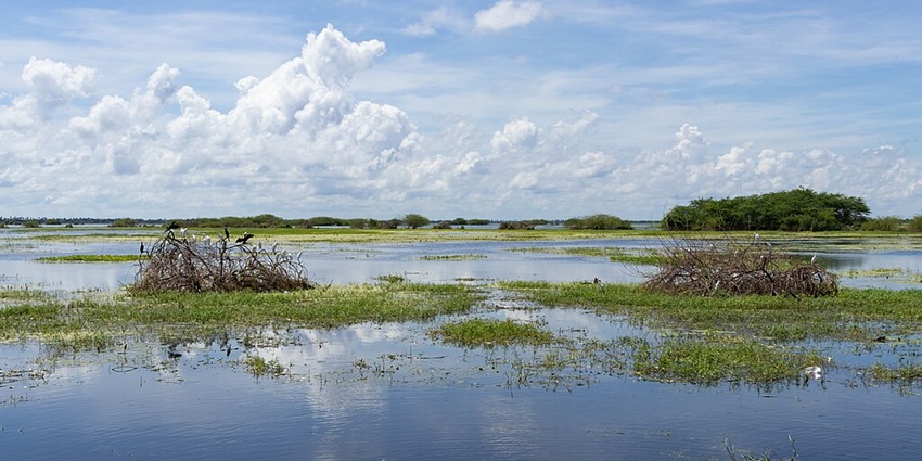 An image of Kolleru Lake, a scenic fresh waterlake, rich in biodiversity and beauty