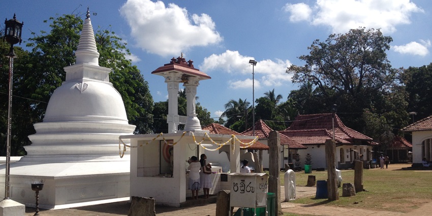 A serene Buddhist temple surrounded by lush greenery, reflecting Sri Lanka’s rich heritage