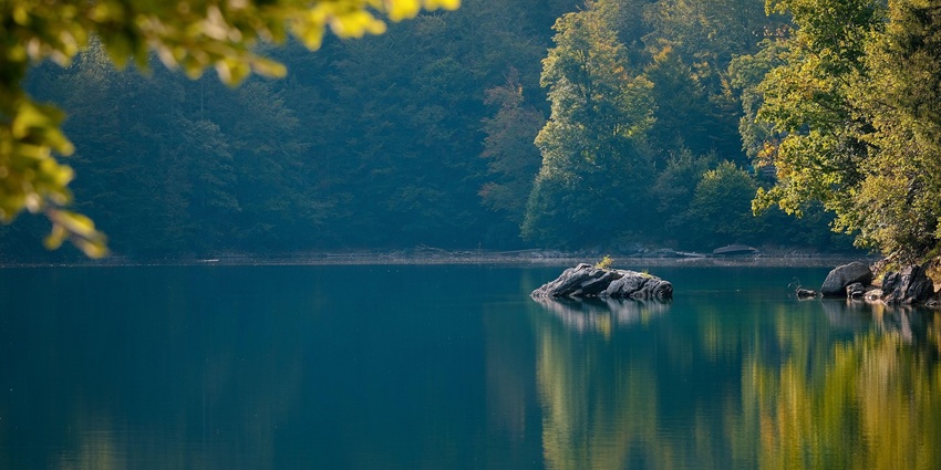 An image of Kukrail Reserve Forest Lake surrounded by dense greenery.