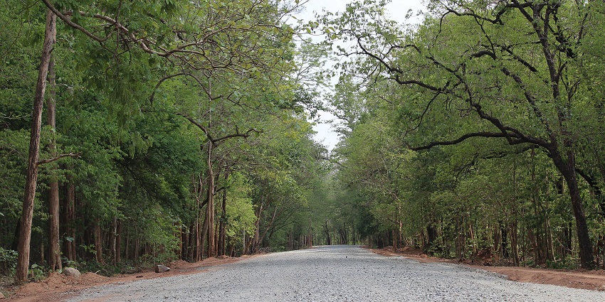 An image of the interior of the Kulen Promtep Wildlife Sanctuary located in Preah Vihear, Cambodia.