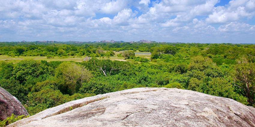 A picture of the vast greenery at a national park in Sri Lanka, under a cloudy blue sky