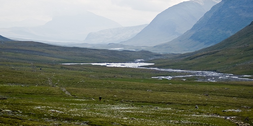 Kungsleden Trail from Tjäkta, a well-known long-distance hiking route in Sweden.