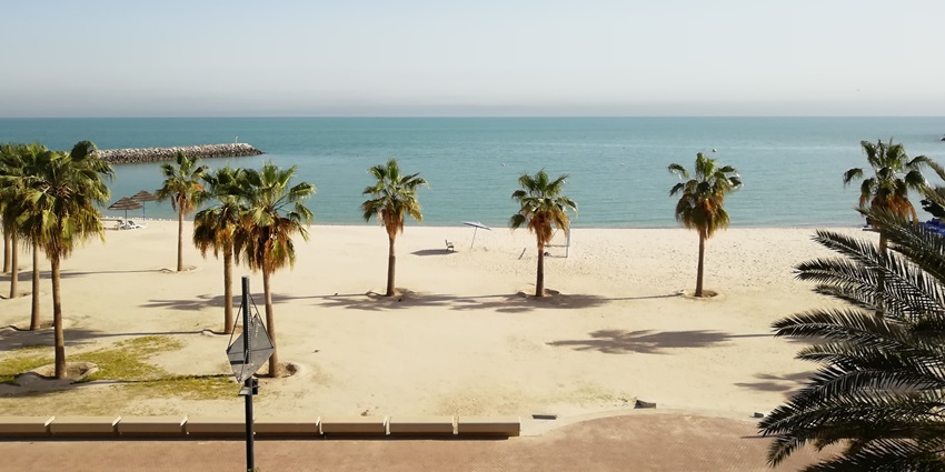 A serene vista of the famous Kuwait Beach with palm trees and golden shorelines.