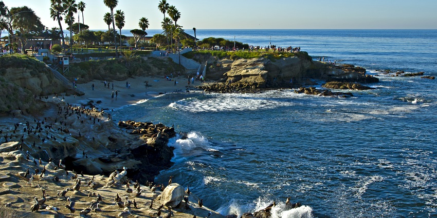 Romantic view at La Jolla Cove, perfect for a Valentine's Day celebration in San Diego.