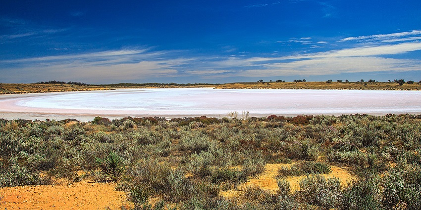 An image of Lake Amadeus, with vast salt flats and greenery.