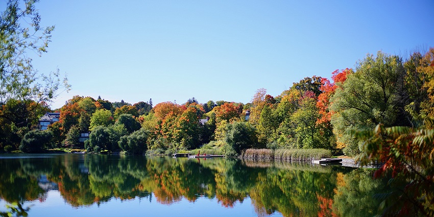 An image of McKay Lake, a lake in Australia, in autumn with colorful foliage and calm waters.
