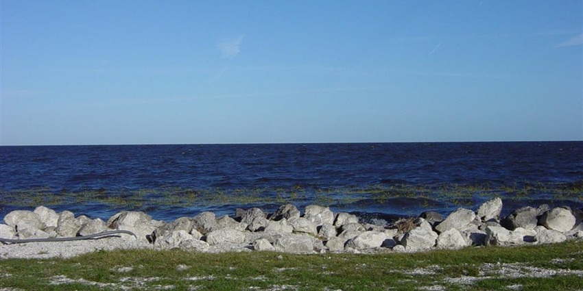 An image of the rocky shoreline of Lake Okeechobee, with multiple birds flying over it