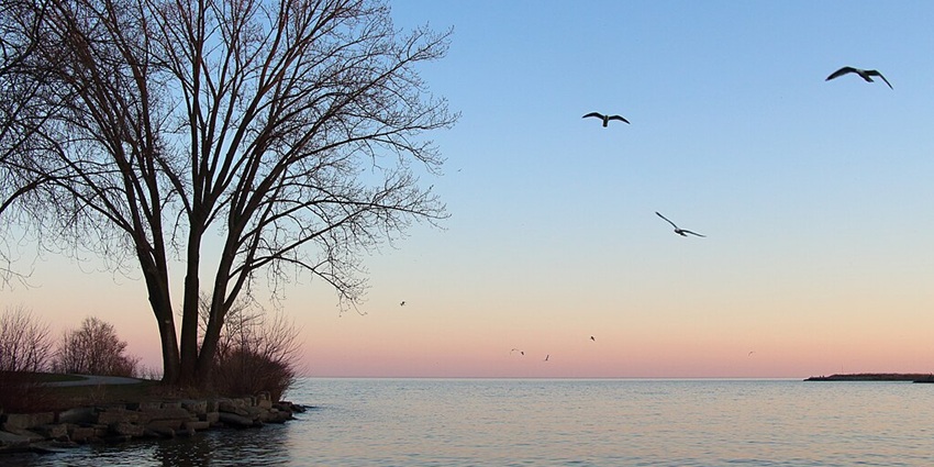 An image of Lake Ontario during sunsets, one of the largest lakes in North America