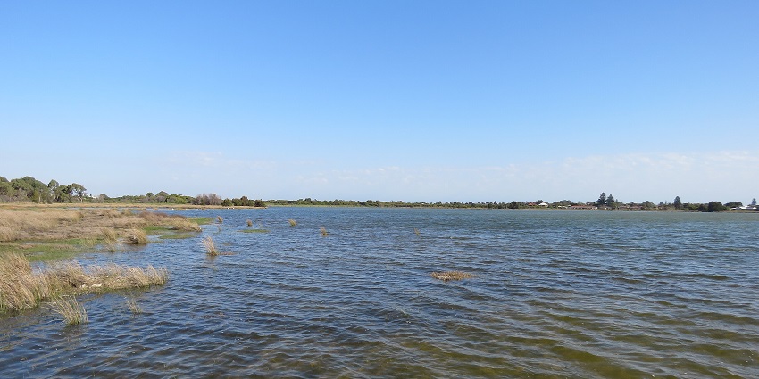 An image of Lake Yamma Yamma, showing a view of its vast arid landscape.