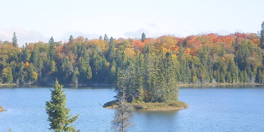 A serene image of Lake of the Woods that borders Minnesota, Manitoba, and Ontario