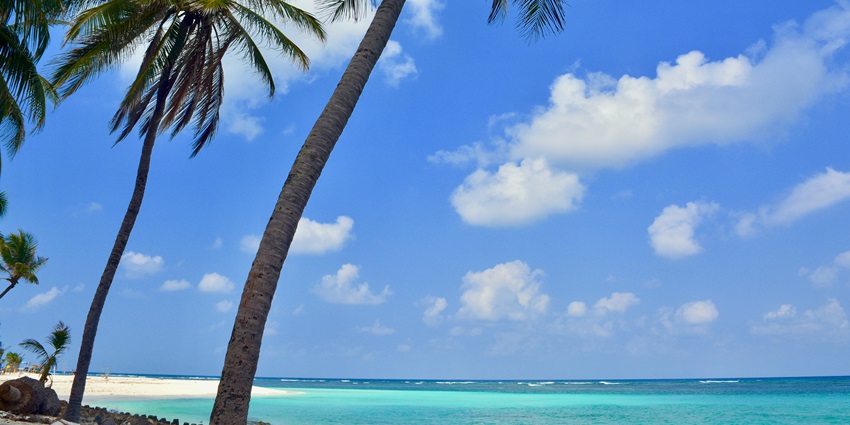 Dive into Lakshadweep’s vibrant coral reefs, one of the best islands in the Indian Ocean.