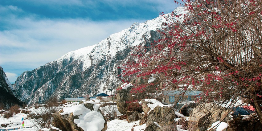 A group of trekkers walking through Langtang Valley, one of the best places for trekking.