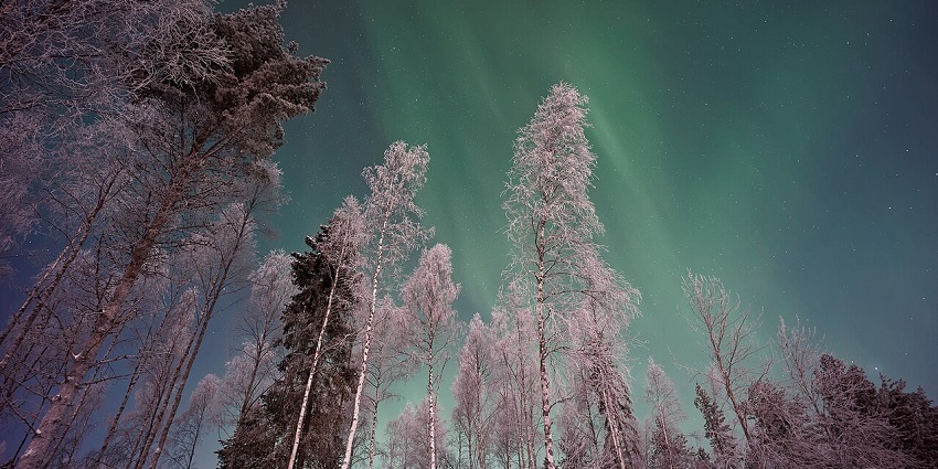 One of the best places to visit in December for couples is Lapland, Finland, a magical winter wonderland.