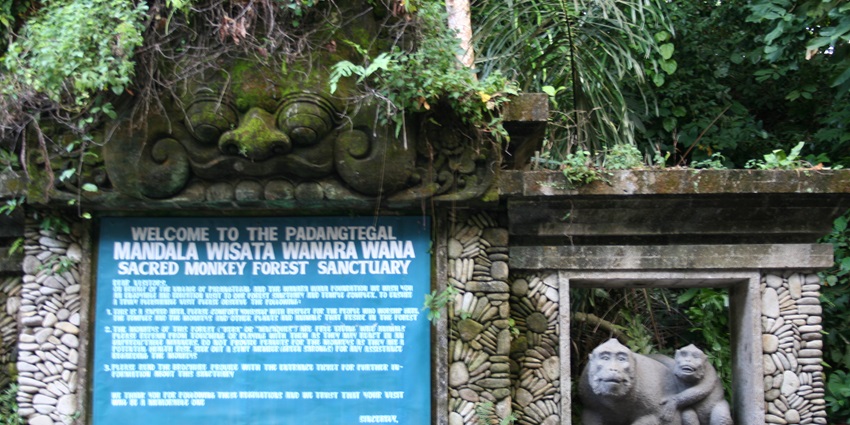 Discover how Bali protects its wildlife and natural heritage.