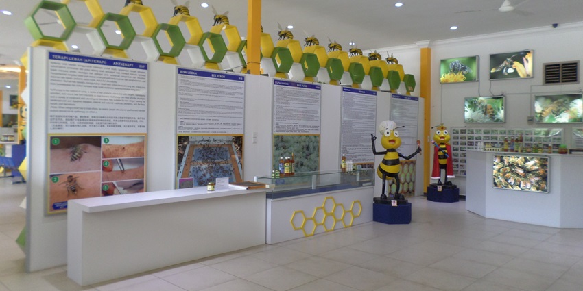 Learn the heritage of honeybees at Malacca Bee Gallery, one of the educational things to do in Malacca.