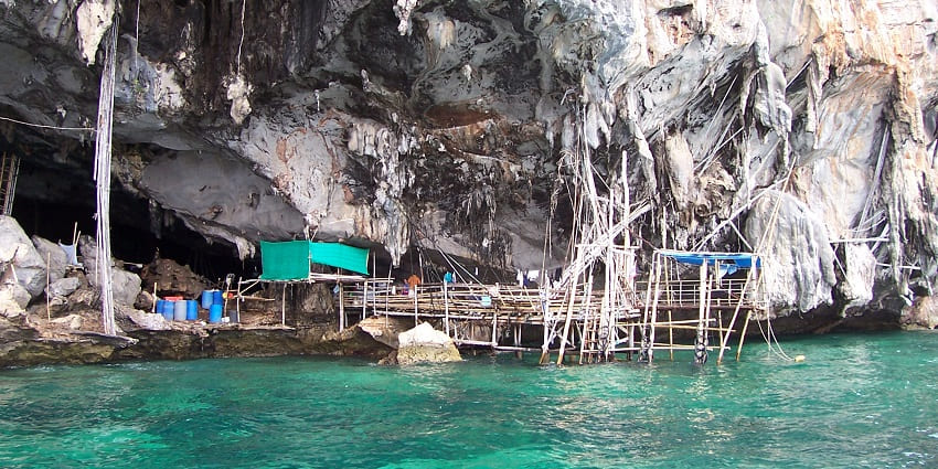 Visitors can get a glimpse of skilled harvesters climb inside the Viking Caves where swiftlet nests are gathered.