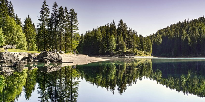 Serene view of the lake surrounded by lush forests