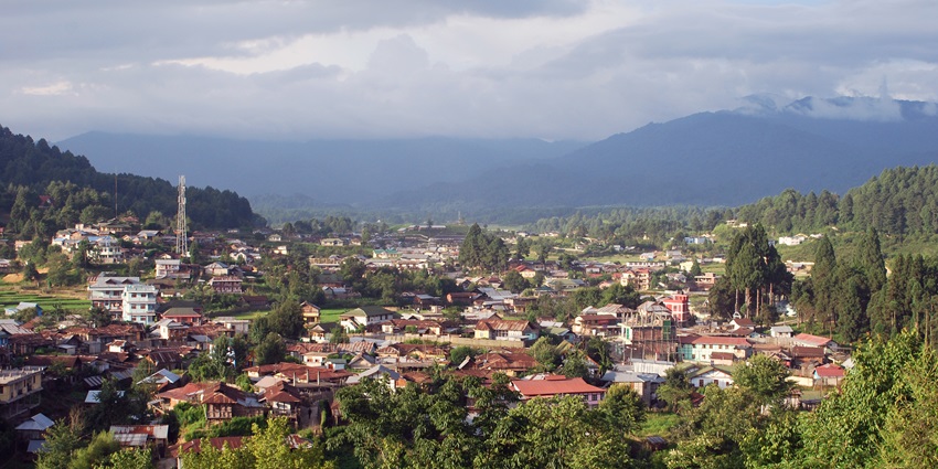 Ziro town from above with multiple buildings, a tall network tower surrounded by greenery.
