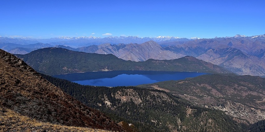 Rara Lake from above a hill and its water body is surrounded by green shorelines and mountains.