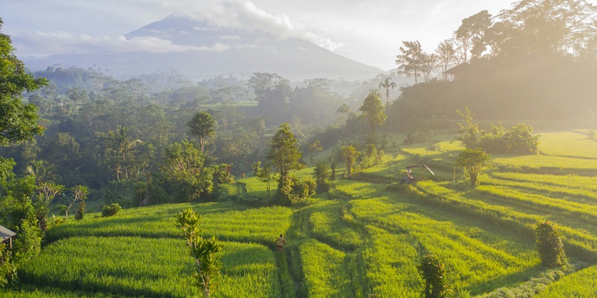 A peaceful hills in Banjar town in Bali, Indonesia, leading to the Banjar Hot Springs Bali.