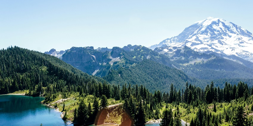 An image of the iconic Mount Rainier National Park covered in snow and fog