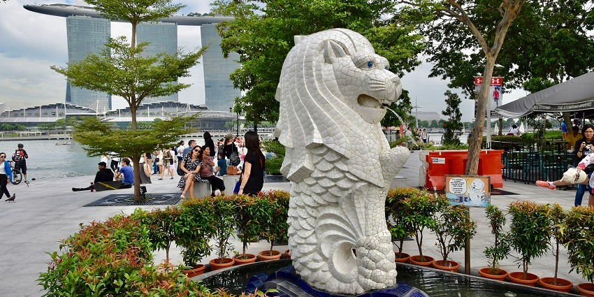 Explore the Merlion Park at Fullerton Road, right opposite the Fullerton Hotel.