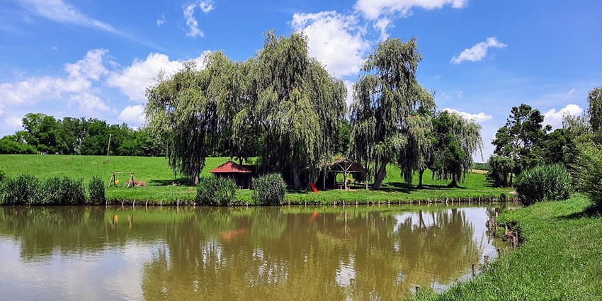 Green grasslands at the banks of River Barnadi where Bogamati is located