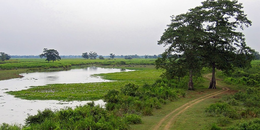 Kakochang is the perfect spot for a peaceful picnic amidst nature's tranquility