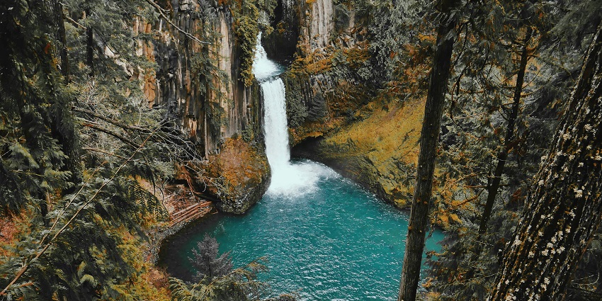 An image of a cascading waterfall into a pool, surrounded by dense forest and lush cliffs.
