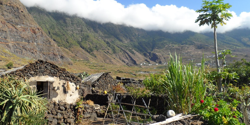 The New Guinea Island spans across diverse topographies, such as mountains, rivers, and coastal plains.