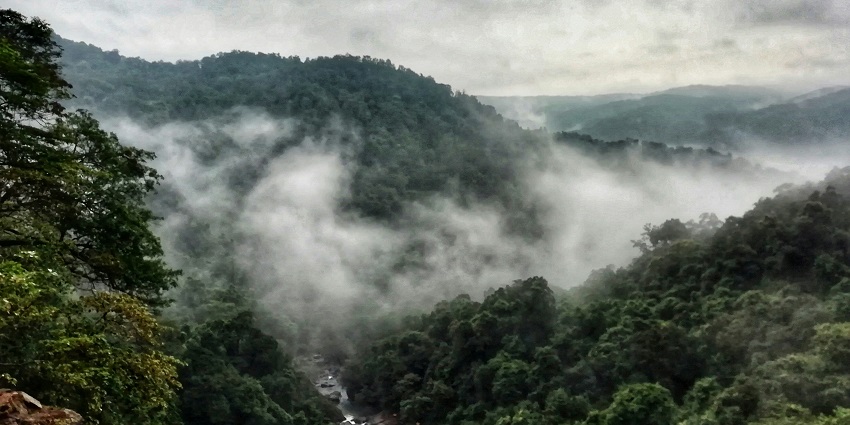 Located near Mollem in South Goa, it’s a paradise for nature and wildlife enthusiasts.