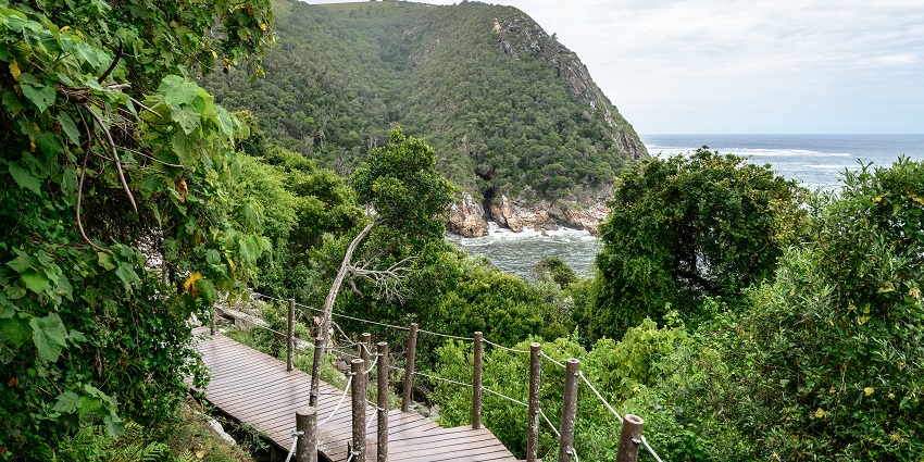 The beautiful locality of Tsitsikamma National Park in South Africa
