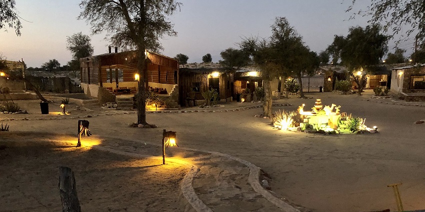 The desert landscape of Dubai, where the night safari takes place under the starry sky.