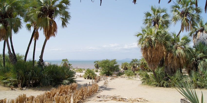 Scenic view of Lake Turkana, Kenya, with its blue waters and rugged, rocky terrain