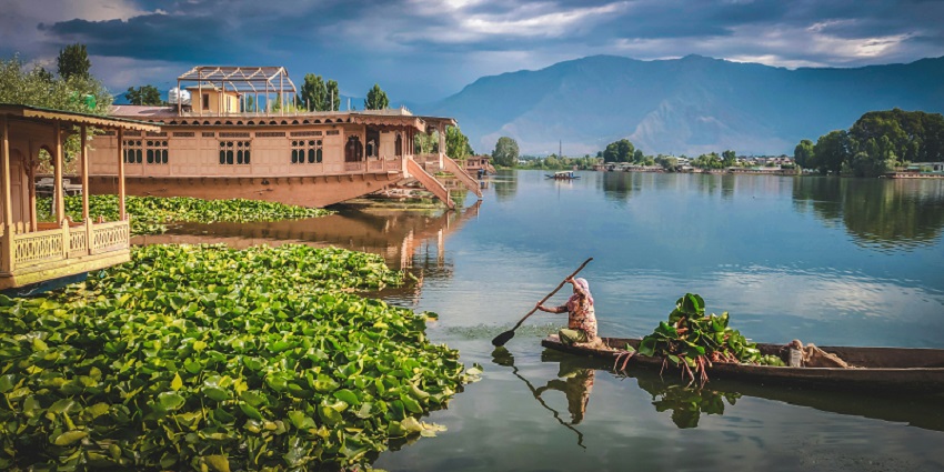 Dal lake from Pari Mahal with a large water body, finely cut trees and distant mountains