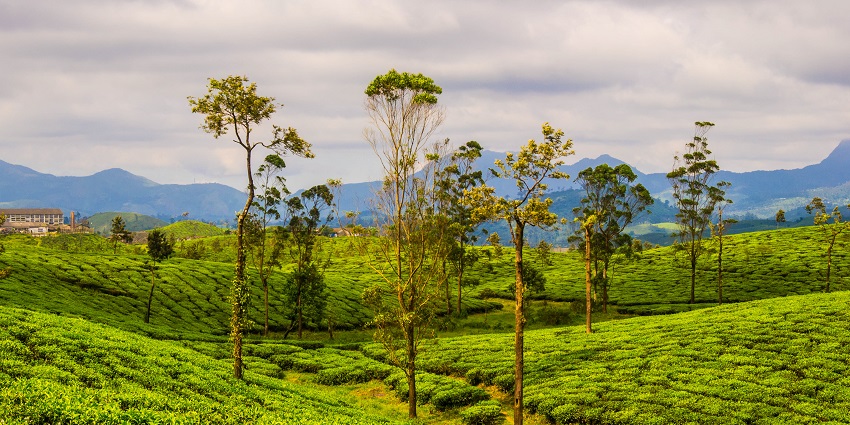 An image of Birla waterfall, located in the Sholayar Estate of Valparai, Tamil Nadu.
