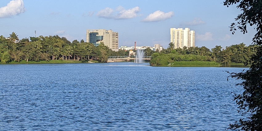 Serene path amidst one of the biggest lakes in Bangalore, lined by trees and visitors taking a stroll in the morning.