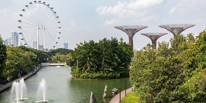 Water Fountains and Singapore Ferris Wheel spotted from Gardens By The Bay