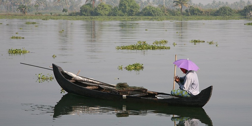 A scenic view of one of the Lakes in Kerala, surrounded by lush forests and clear skies.