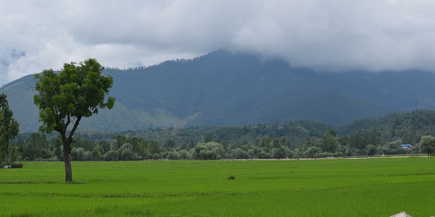 Vast green landscape with trees and distant mountains partially covered in clouds