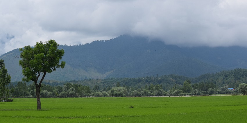 Lolab valley with vast green field landscape, trees and mountains covered in clouds