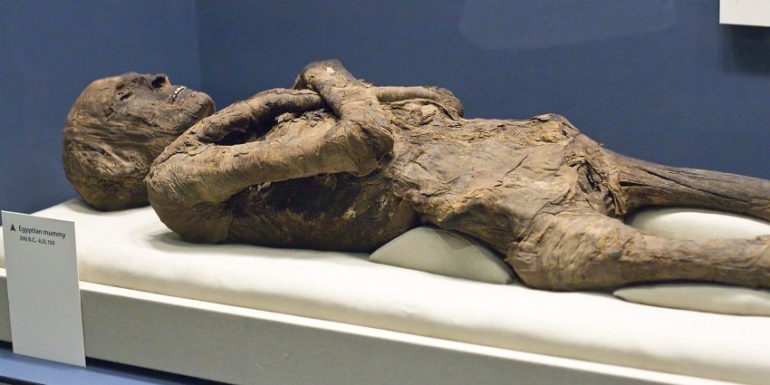 Preserved mummies showcasing ancient embalming techniques and burial traditions.