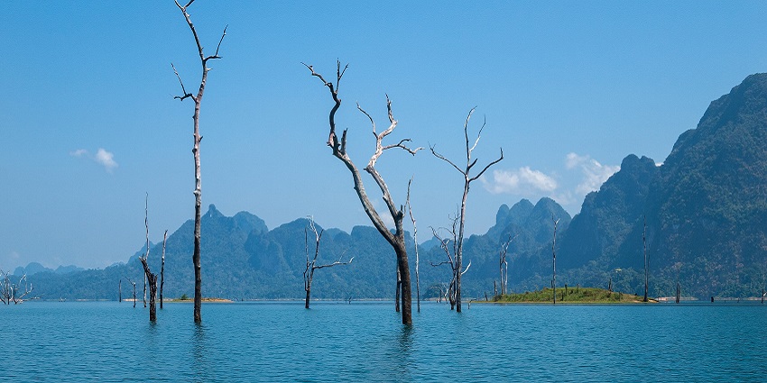Lunkaransar Lake among the dead trees between a lake with a backdrop of green hills.