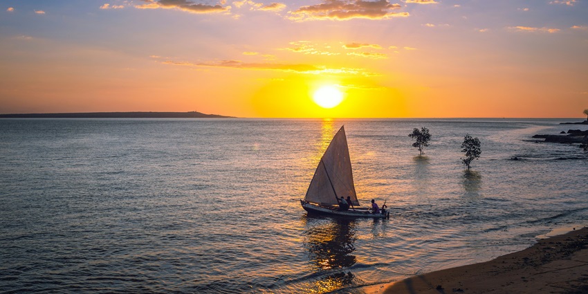 Explore Madagascar’s unique biodiversity, from lemurs to baobab-lined landscapes.