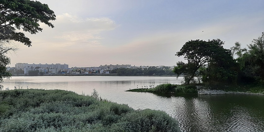 A peaceful sight of Madiwala Lake, one of the biggest lakes in Bangalore, is perfect for birdwatching and unwinding.