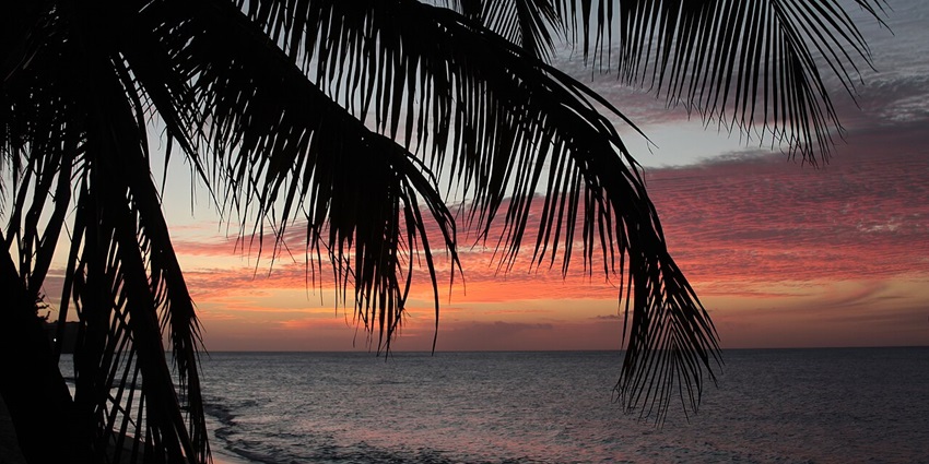 Magazine Beach, breathtaking sunsets with palm silhouettes against vibrant Caribbean skies